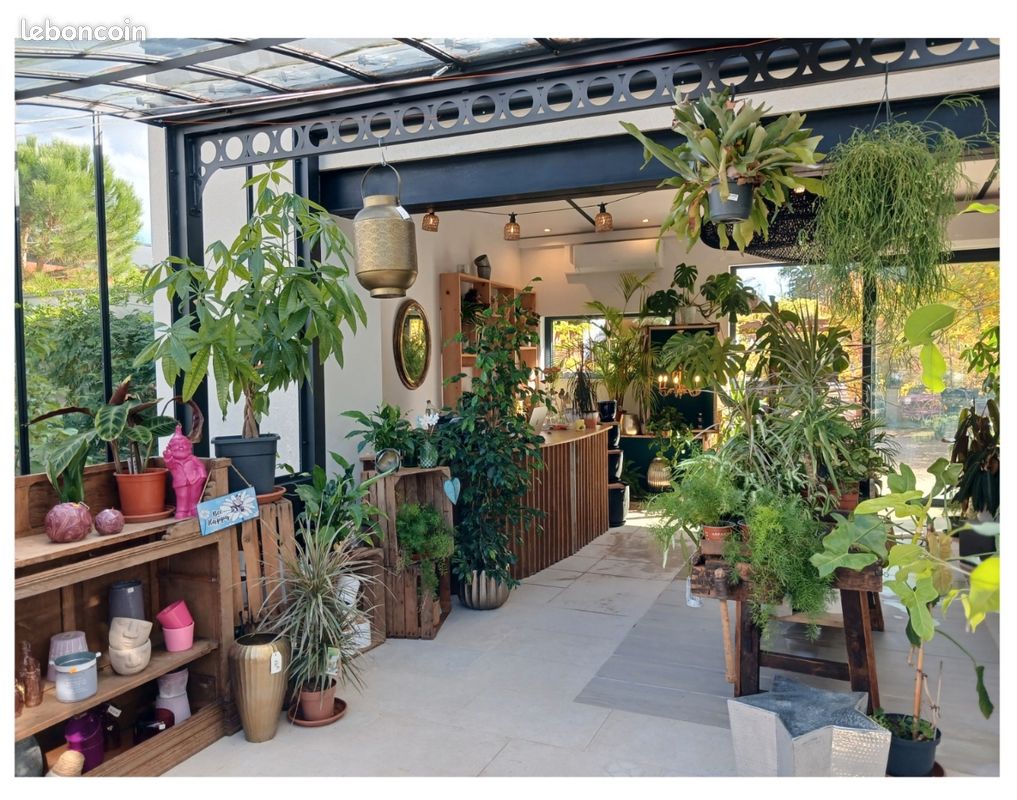 Location d'un local professionnel (image 4)