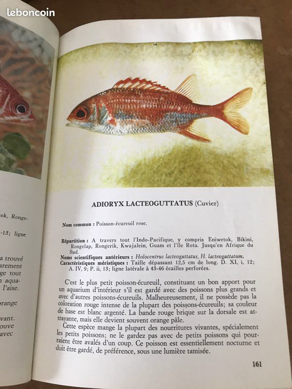 Atlas des poissons exotiques d’eau de mer (image 2)