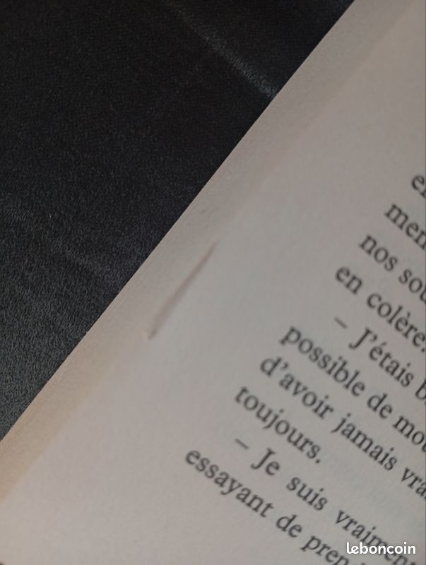 Livre la collectionneuse d'histoires d'Evie Gaughan (image 8)