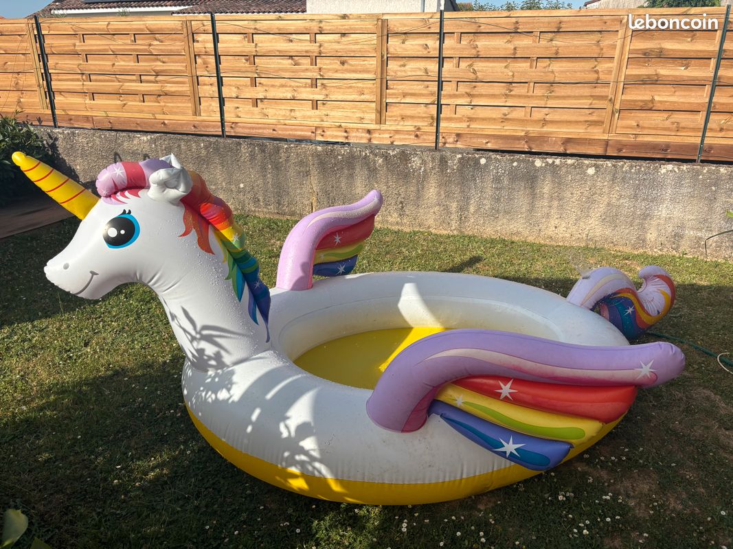 Piscine gonflable (image 1)
