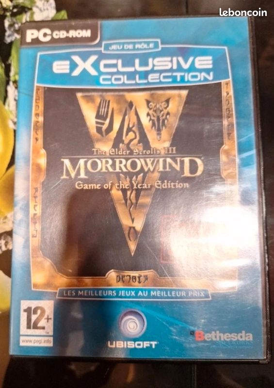 The Elder Scrolls III: Morrowind Game Of The Year Edition - PC - Version FR Complète