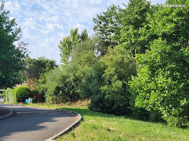 Terrain 763 m² Sanguinet
