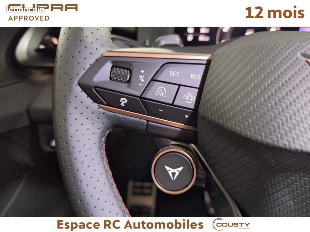 Cupra Terramar 1.5 eHybrid 204 ch DSG6 V (image 18)