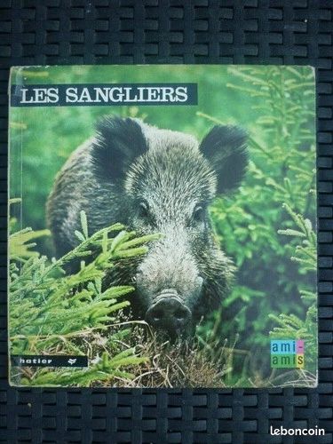 Anne-Marie Pajot: Les sangliers images de la nature/ Hatier 1975 (image 1)