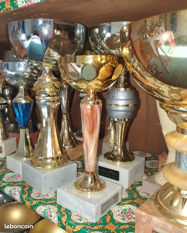 Coupe or | Récompense de Qualité | CP5273C
