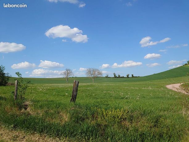 Terrain 1999 m² Langy
