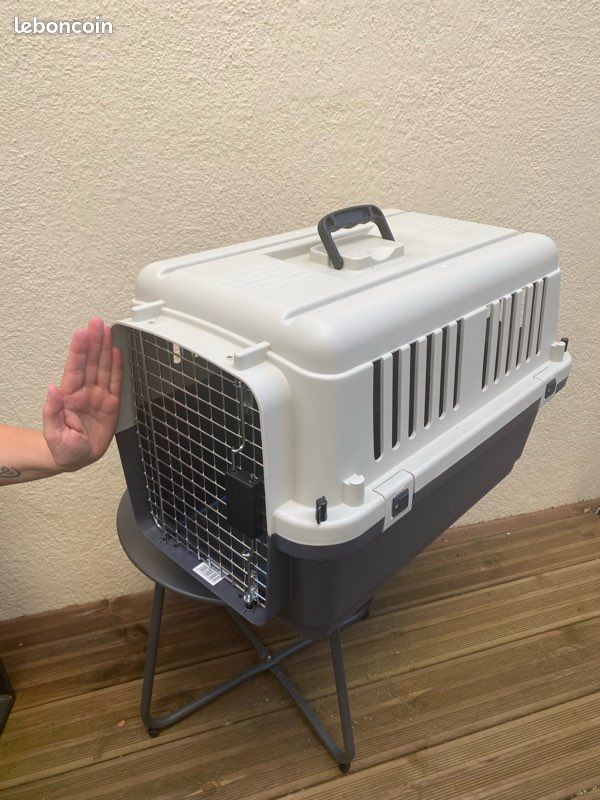 Caisse de transport chien/chat très bon état (image 2)