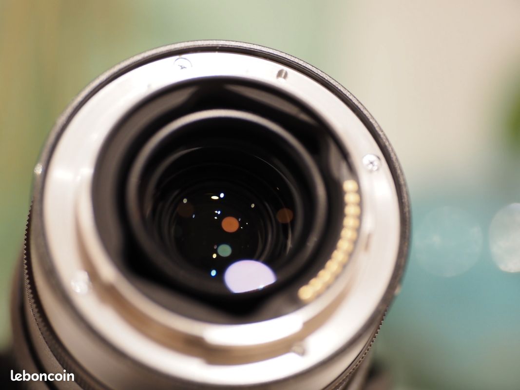 Nikon Nikkor Z 24-120mm F4 S (image 9)