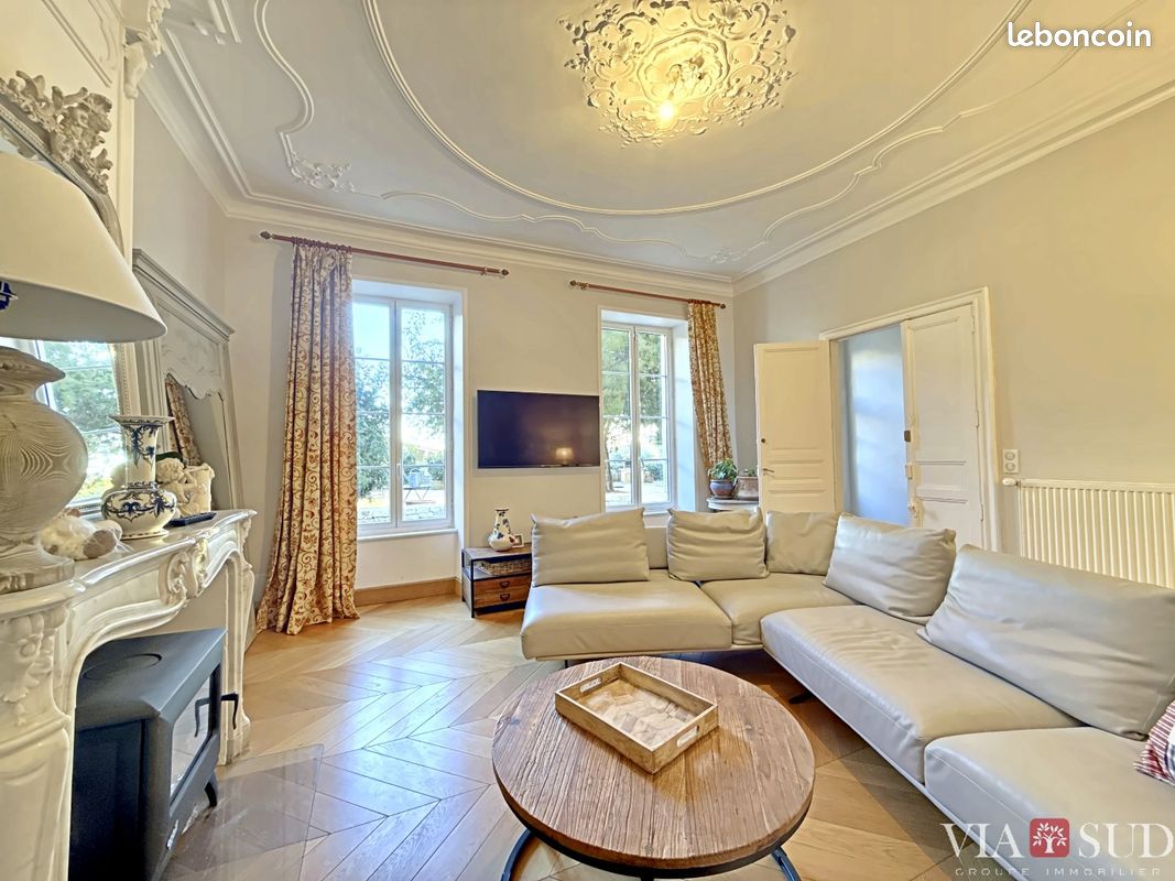 Maison 19 pièces 1180 m² (image 6)