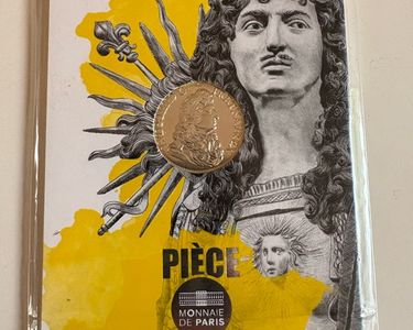Pièce Commémorative Louis XIV – Réplique Antique 1619 – Métal Doré – Cadeau Souvenir Pour Collectionneur