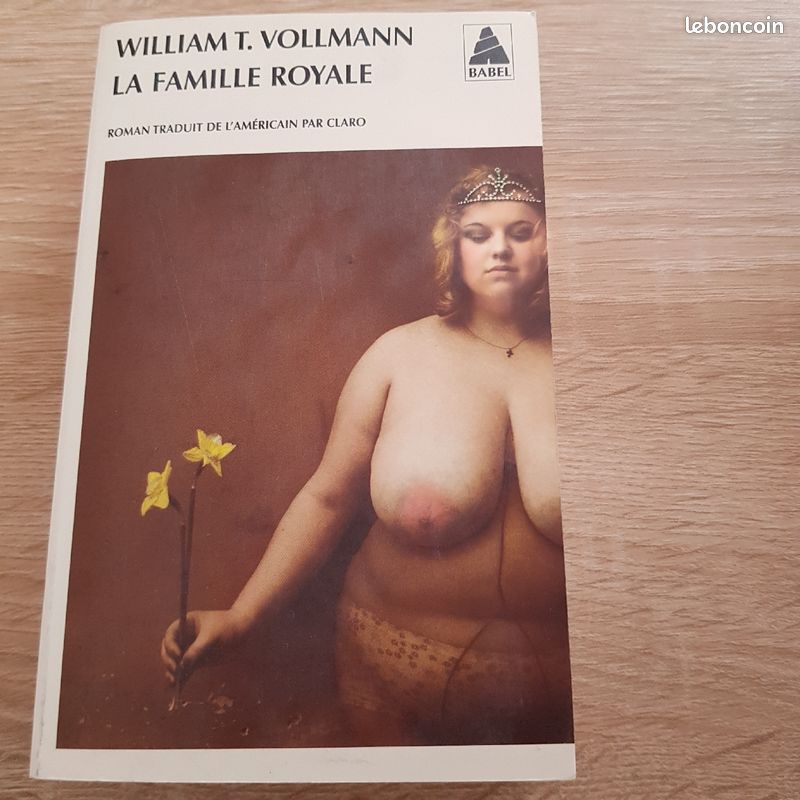 William t . Vollmann (image 1)
