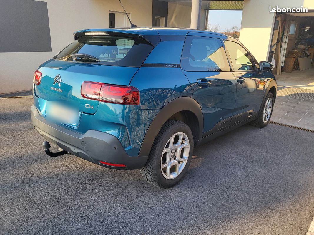 C4 cactus feel 130CV (image 2)