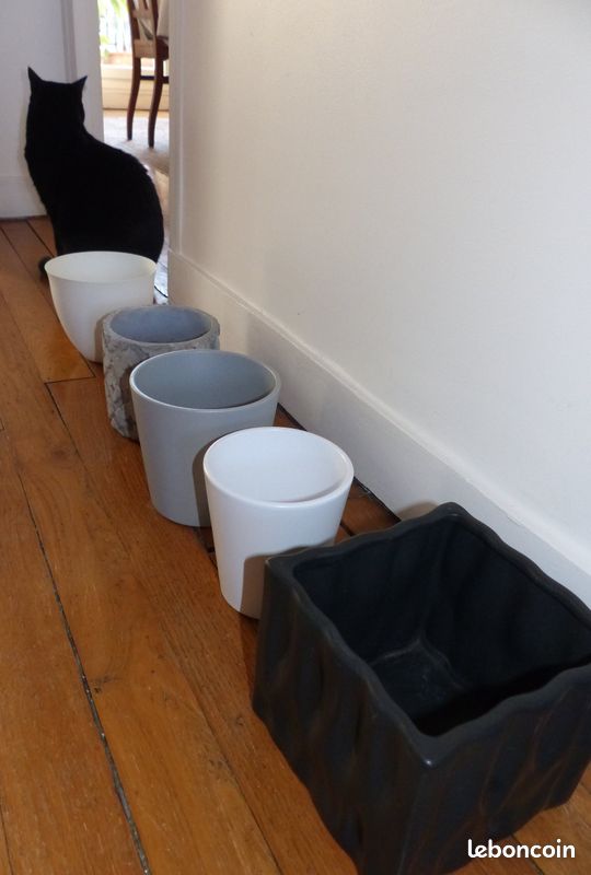 Lot de cache pot en ceramique (image 8)
