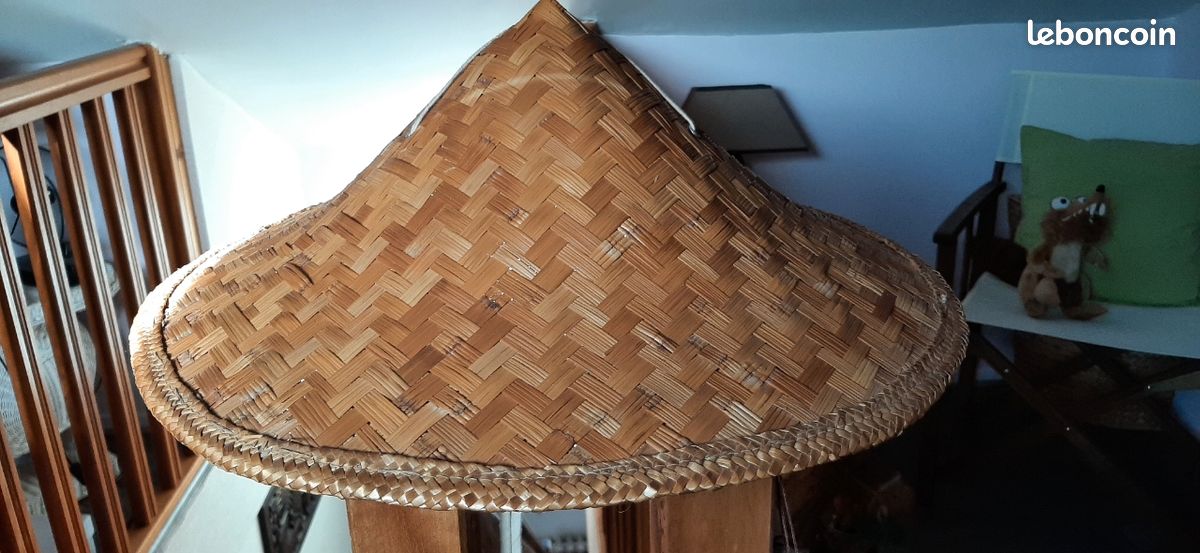 Chapeau vietnamien (image 4)