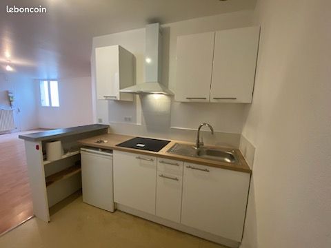 Loue T2 rénové de 56m2 en plein cœur de Limoges - Limoges 87000 Centre-Hôtel de Ville Emailleurs (image principale 0)