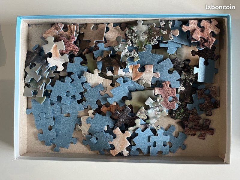 Puzzle (image 2)