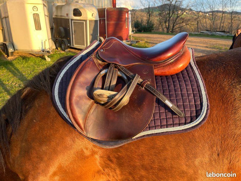 Tapis De Selle Premier Equine Alberta Satin Jumping