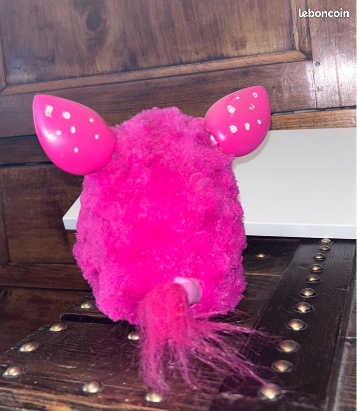 Firby rose (image 3)