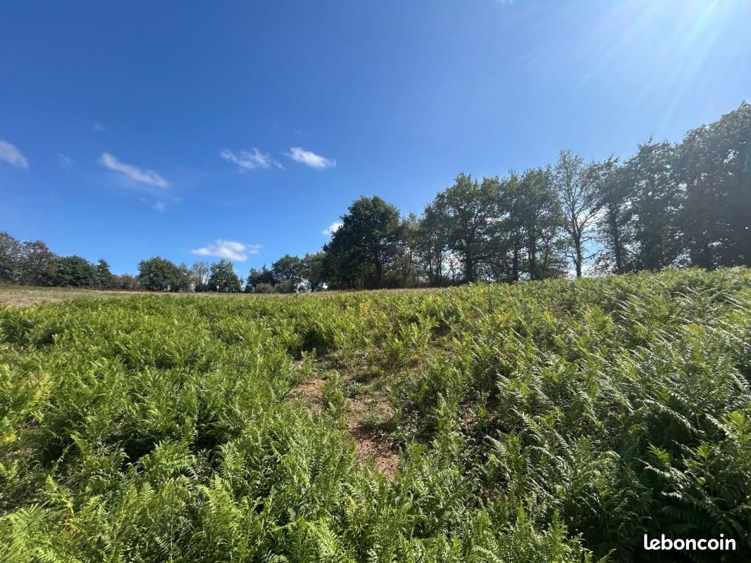 Terrain agricole 23 120 m² Apremont · 23 990 €