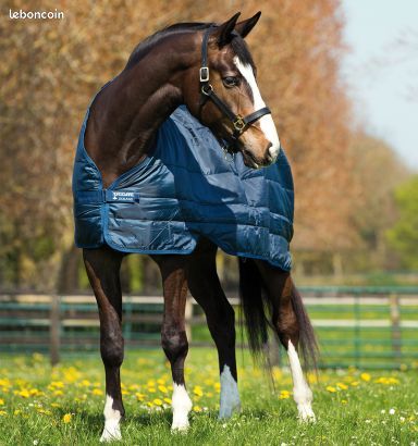 Liner sous couverture NEUF Horseware 6'0 130cm 300g double poney cheval (image 1)