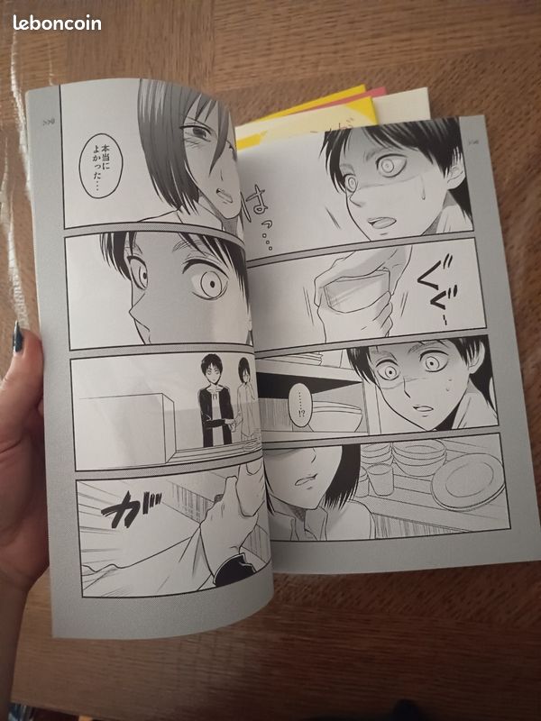 Lot fanbook attack on Titan (image 7)