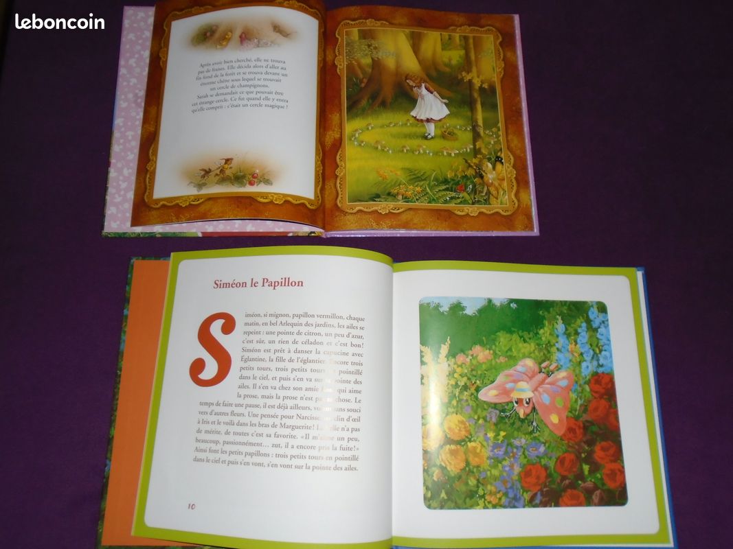2 beaux livres pour enfants (image 2)