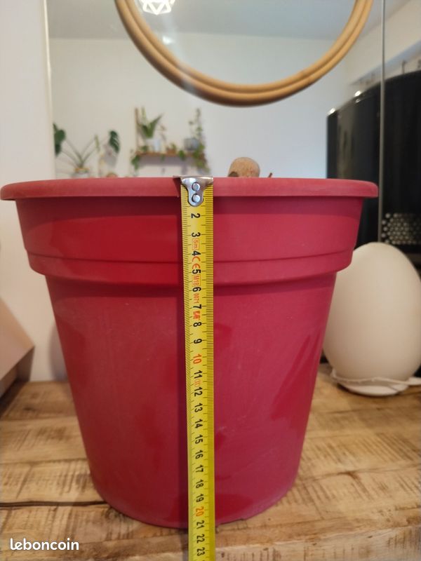 Grand pot aux fleurs (image 2)