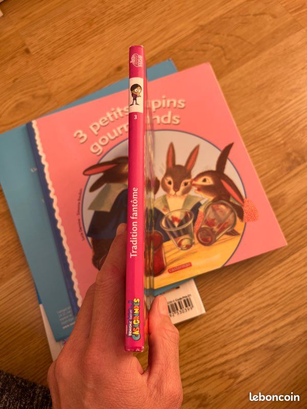 Bibliothèque rose casa grandes (image 3)