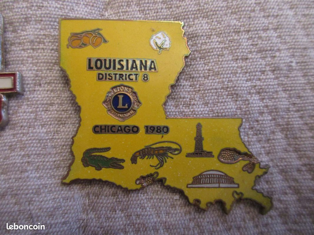 Collection De 85 Pins (Épingles) Lions Club - 8 États Différents - Occasion Très Bon État