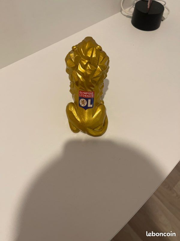 Statut de Lyon et de l’équipe olympique de Lyon (image 4)
