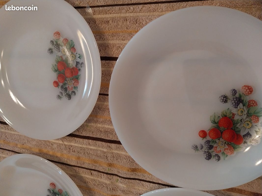 6 Assiettes Arcopal décor Fruits neuves - Arts de la table