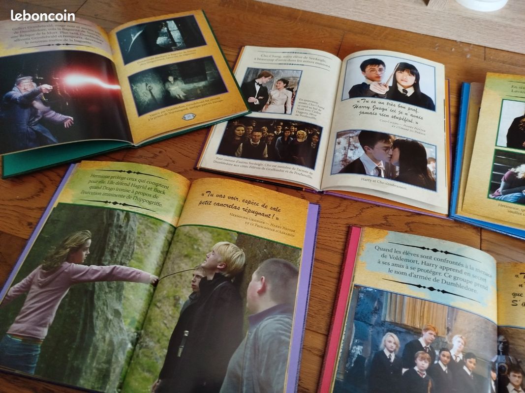 Livres guide cinéma Harry Potter (image 4)