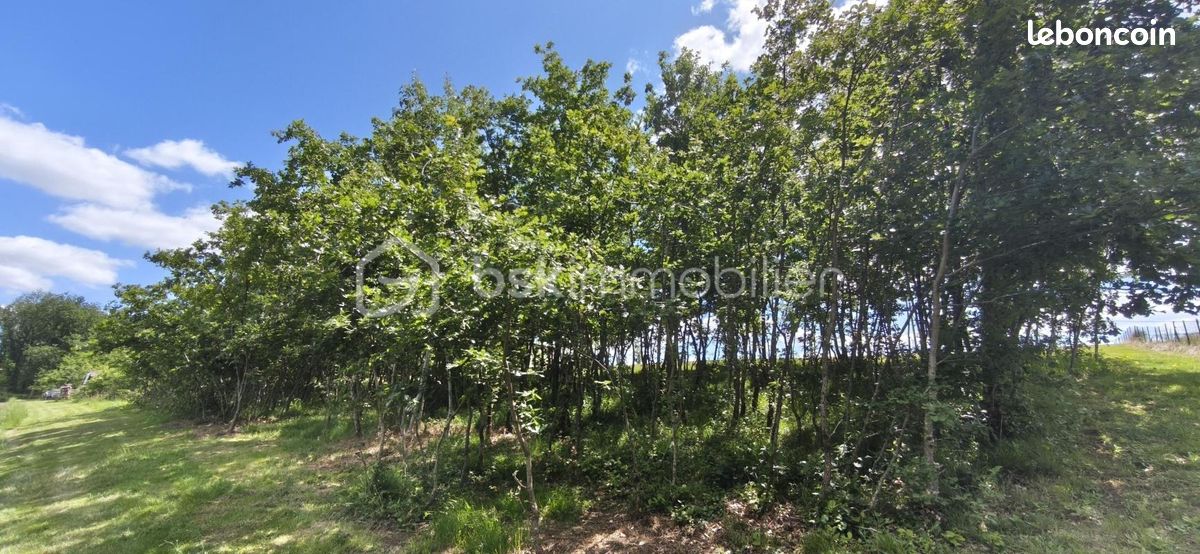 Terrain 1760 m² · à Monclar-de-Quercy · 1 760 m² · 35 000 €