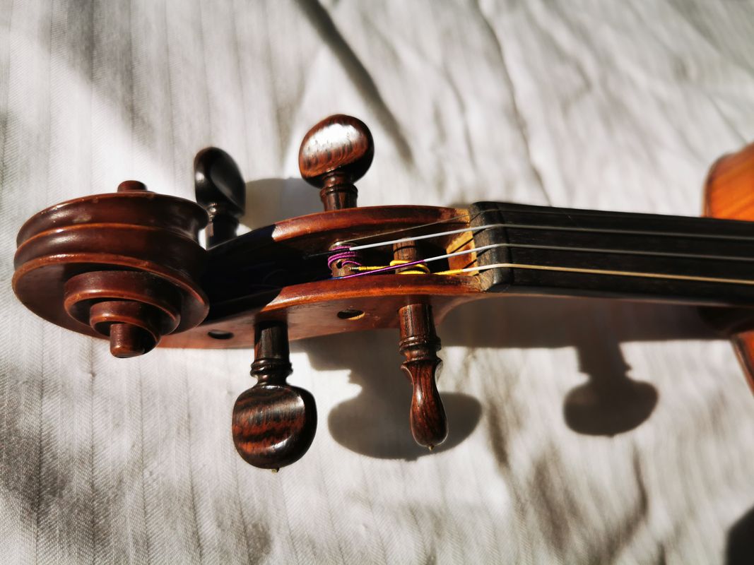 Violon d'occasion - Annonces Instruments de musique leboncoin