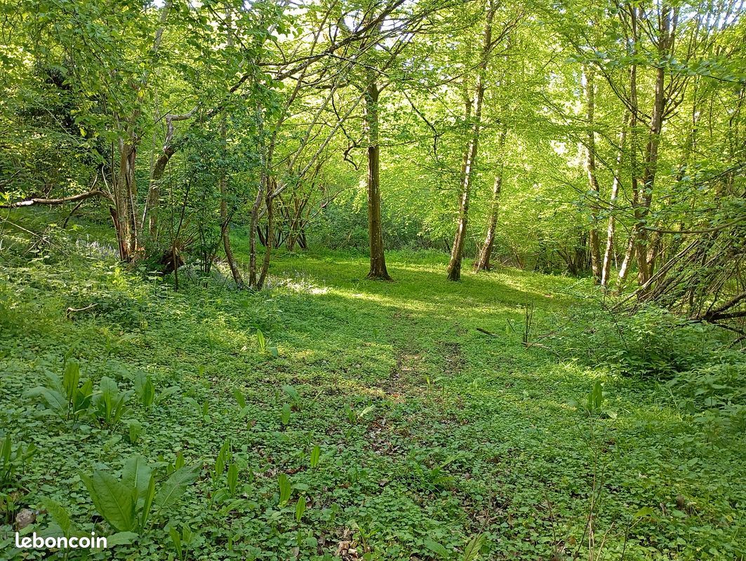 A vendre parcelle forestière Vieux-Port · à Aizier · 21 000 €