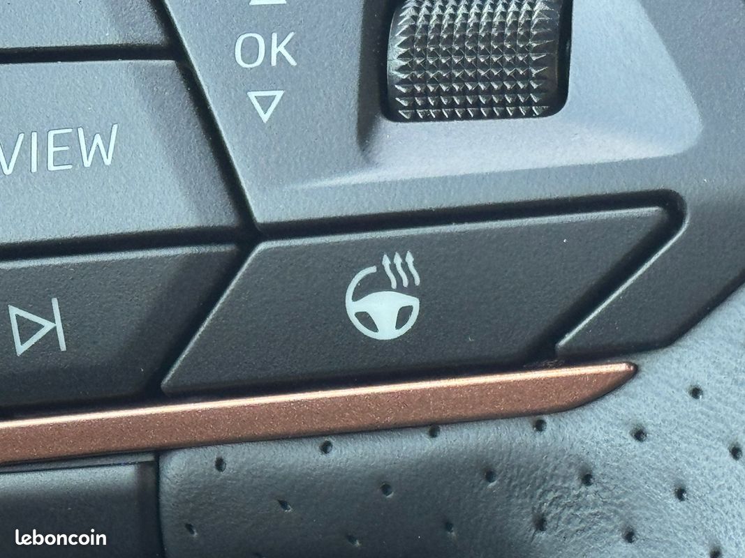 Cupra TERRAMAR 1.5 ETSI HYBRID 150CH V DSG7 (image 16)