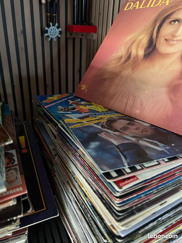 Vinyles 33 et 45 tours (image 2)