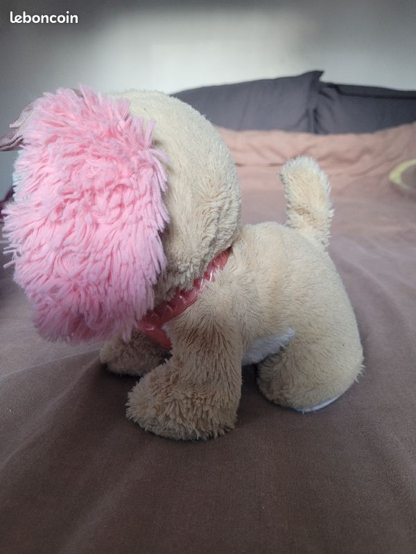 Present pet (image 2)