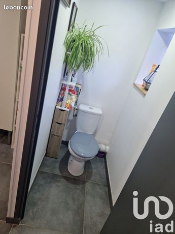 https://img.leboncoin.fr/api/v1/lbcpb1/images/17/74/db/1774db2828ef7217087da4458c3606d251cd87ab.jpg?rule=ad-image