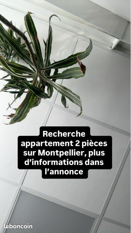 Appartement 2 pièces 35 m² · à Montpellier · 35 m² · 680 €
