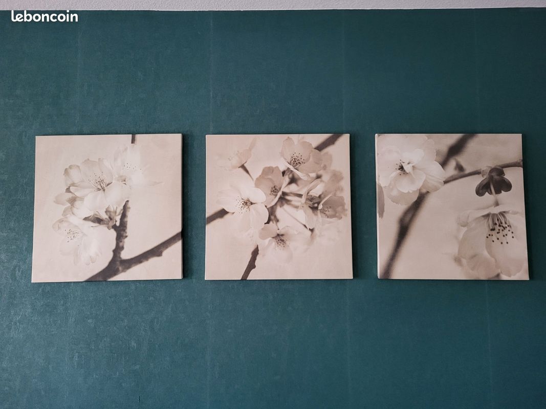 Tableaux triptyque (image 1)