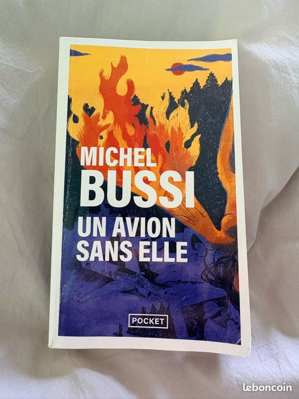 Roman M. Bussi – un avion sans elle (image 1)