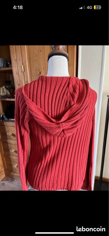 Pull avec capuche la redoute (image 2)