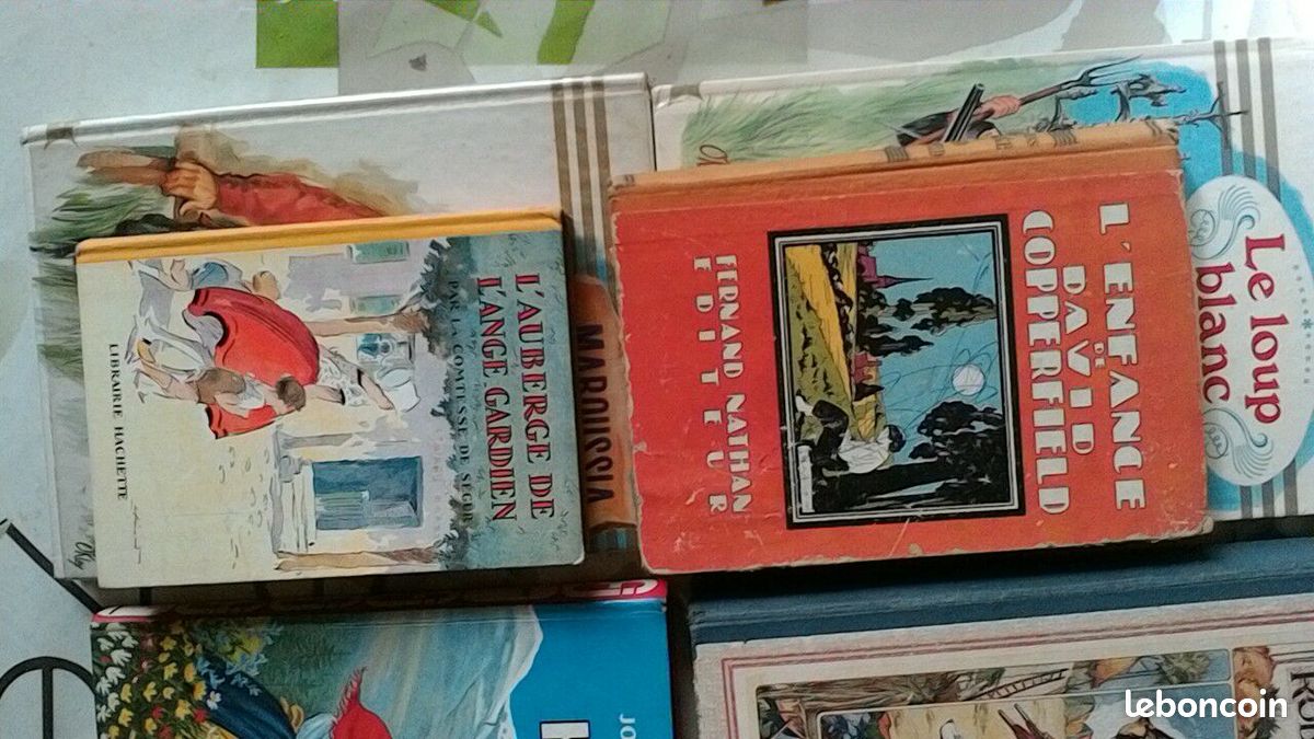 Lot livres anciens (image 3)