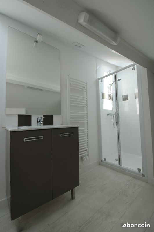 Limoges prox Gare des Charentes T1 dans résidence privée - Limoges 87100 Centre-Hôtel de Ville Emailleurs (image 2)