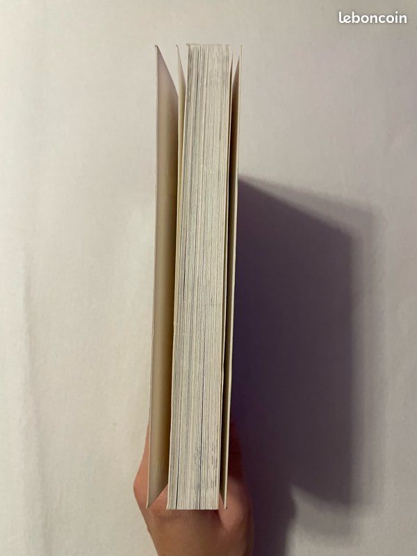Livre Ulysse Moore, Les clefs du temps, tome 1 (image 4)