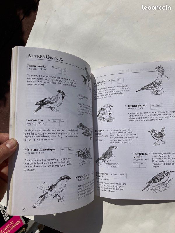 Livre « Autocollants Nature » - Oiseaux (image 5)