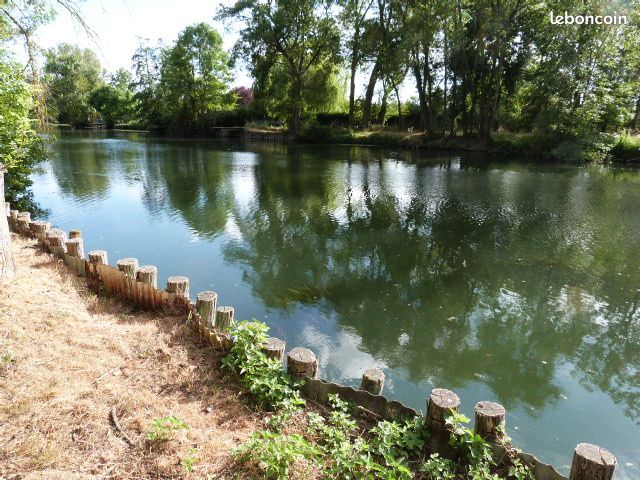 Grand terrain de loisirs en bord de Loir · à Areines · 18 500 €