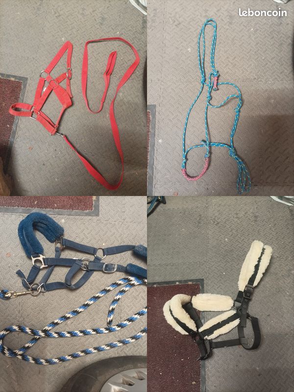 Lots équitation (image 3)