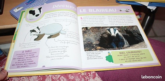 Lot de 9 livres de la série Mon alphabet des animaux du A au I (zoe24) (image 18)